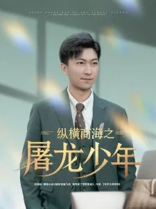 纵横商海之屠龙少年