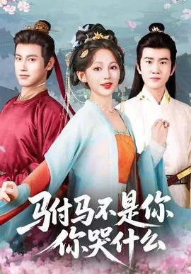 驸马不是你,你哭什么