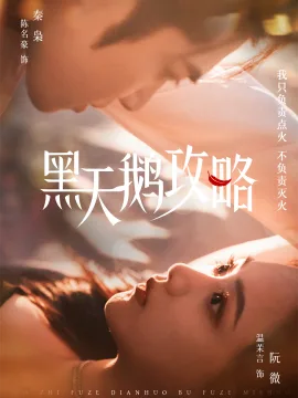 黑天鹅攻略