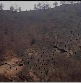 狩猎场寄死窑