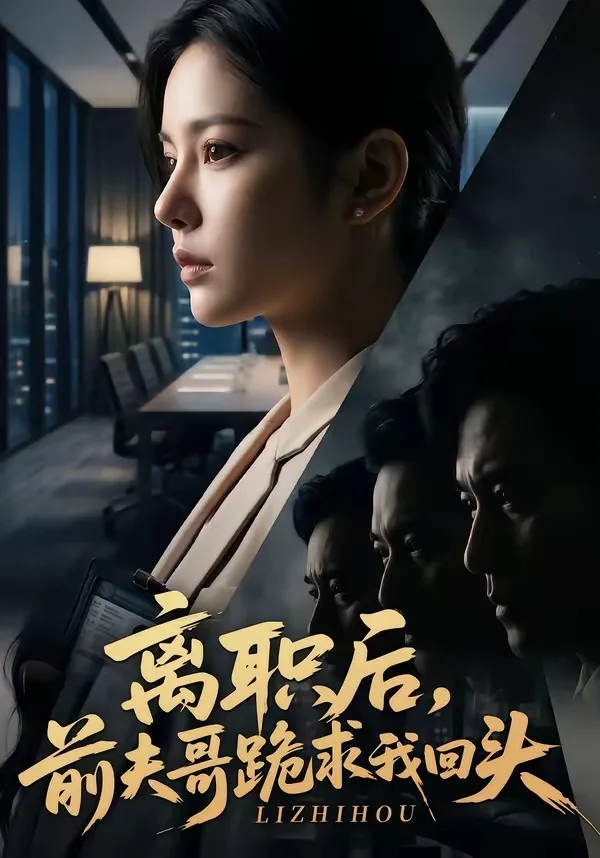 离职后,前夫哥跪求我回头