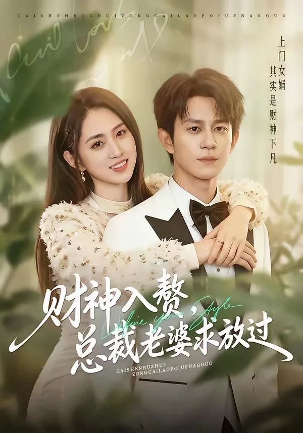 财神入赘,总裁老婆求放过